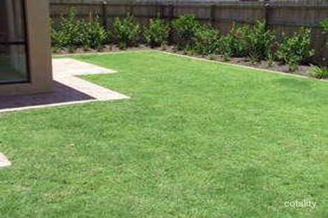 Property photo of 135 Glenfields Boulevard Mountain Creek QLD 4557