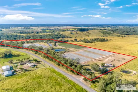 Property photo of 199 Longs Road Bucca QLD 4670