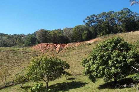 Property photo of 5671 Tweed Valley Way Crabbes Creek NSW 2483
