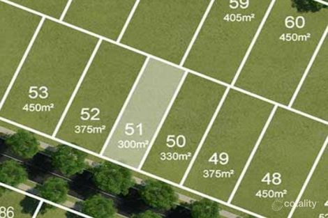 Property photo of 15 Foxtail Road Ripley QLD 4306