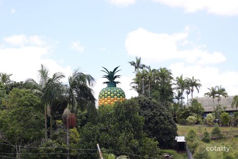Property photo of 102 Burnside Road Perwillowen QLD 4560