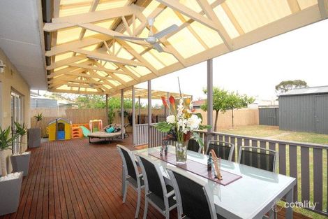 Property photo of 17 Minerva Crescent Croydon Park SA 5008