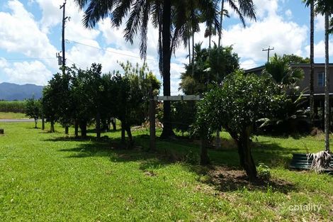 Property photo of 1087 Davidson Road Munro Plains QLD 4854