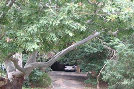 Property photo of 14 Haig Street Belmont NSW 2280