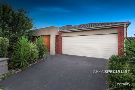 Property photo of 19 Boldrewood Place Lynbrook VIC 3975
