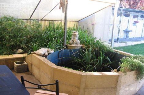 Property photo of 38 Falcon Street Narrogin WA 6312