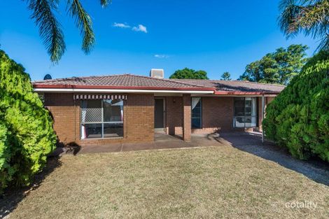 161 Blackadder Rd, Swan View, WA 6056