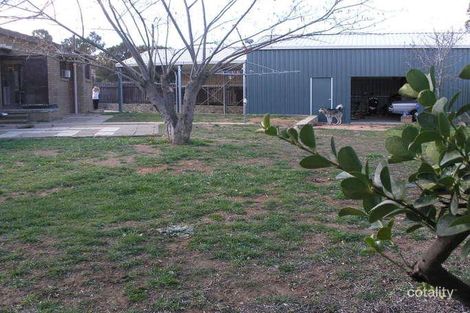 Property photo of 31 Forwood Street Monash ACT 2904