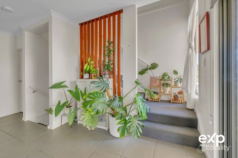 Property photo of 6/3 Coolum Court Blacks Beach QLD 4740