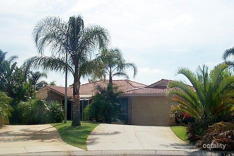 13 Alocasia Cl, South Lake, WA 6164