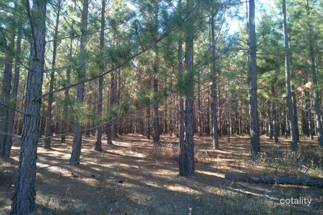 289 Mckenzies Rd, North Isis, QLD 4660