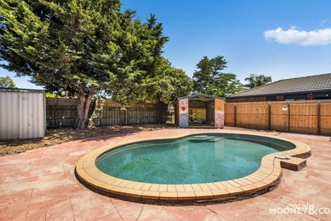 Property photo of 24 Pine Hill Court Cranbourne North VIC 3977