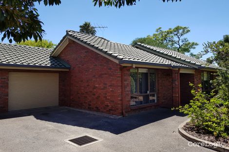 Property photo of 5/88 Barnard Street North Adelaide SA 5006