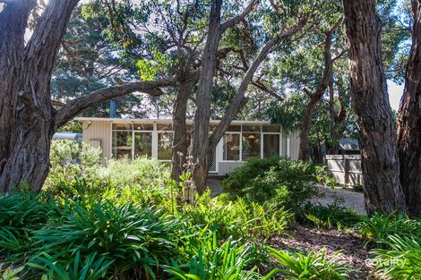 Property photo of 49 Fraser Avenue Anglesea VIC 3230