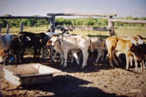 83223 Bruce Hwy, Clairview, QLD 4741