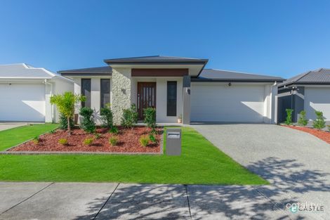 Property photo of 36 Kosciuszko Circuit Pimpama QLD 4209