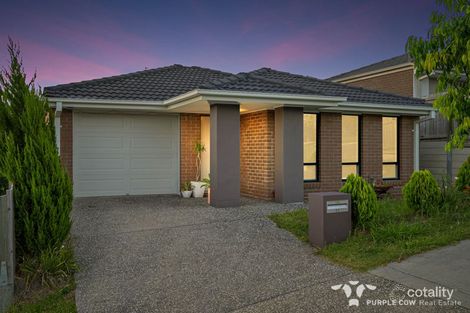 Property photo of 13 Daydream Crescent Springfield Lakes QLD 4300