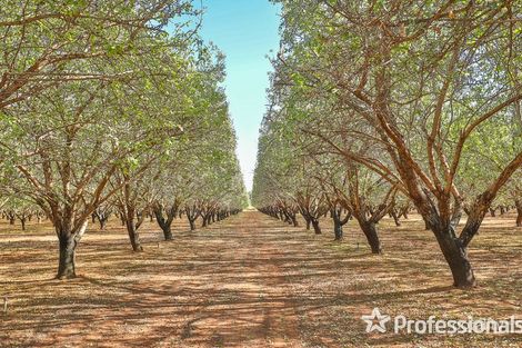 108 Tulloch Rd, Red Cliffs, VIC 3496