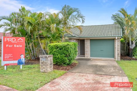 Property photo of 17 Ngungun Close Loganholme QLD 4129