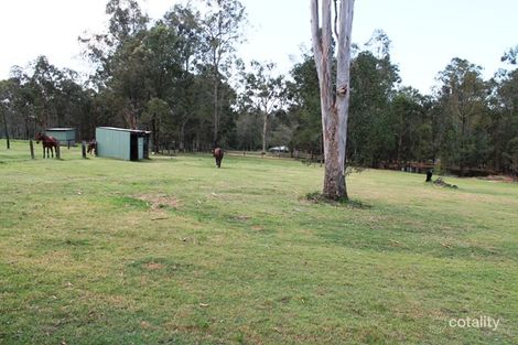 Property photo of 41 Ironbark Road Tamborine QLD 4270