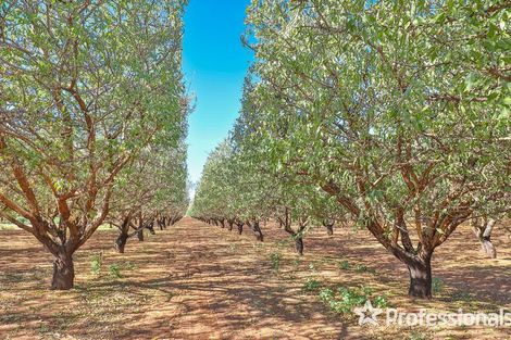 Property photo of 108 Tulloch Road Red Cliffs VIC 3496