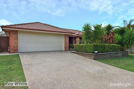 Property photo of 11 Musgrave Street North Lakes QLD 4509