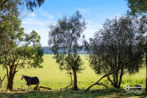 Property photo of 53 Kirip Road Glencoe SA 5291