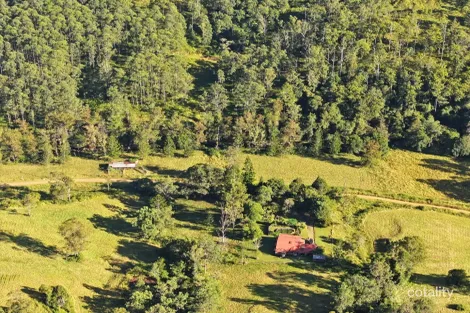 2134 Collins Creek Rd, Collins Creek, NSW 2474