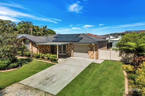 19 Koala Dr, Townsend, NSW 2463