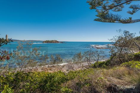 Property photo of 1 Pebbly Crescent Sandon NSW 2463
