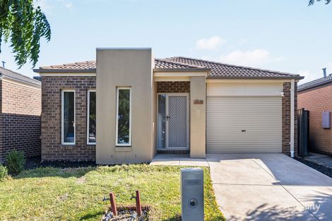 Property photo of 11 Falls Avenue Craigieburn VIC 3064