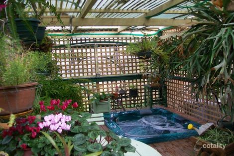 Property photo of 7 Aroona Drive Buxton VIC 3711