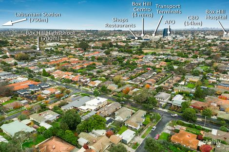 Property photo of 42 Pendle Street Box Hill VIC 3128