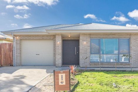 16 Montrose Ave, Clearview, SA 5085