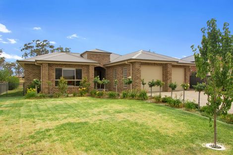 36 Semillon Dr, North Tamworth, NSW 2340