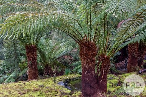 Property photo of 450 Fire Tower Road Koonya TAS 7187