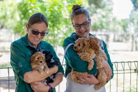 Property photo of 882 Milang Road Angas Plains SA 5255