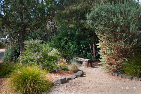 Property photo of 4 Yellow Gum Place Torquay VIC 3228