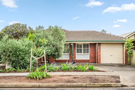 1/33 Lindsay Ave, Edwardstown, SA 5039