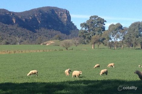 Property photo of 1376 Glen Alice Road Mount Marsden NSW 2849