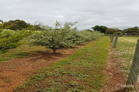 Lot 40 King St, Mintaro, SA 5415