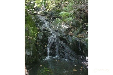 1000 Urliup Rd, Urliup, NSW 2484