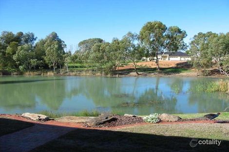 Property photo of 12 Palm Court Renmark SA 5341