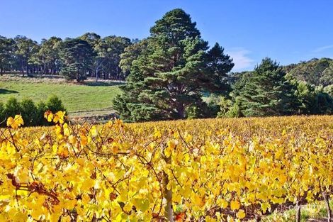 57 Tucks Rd, Main Ridge, VIC 3928