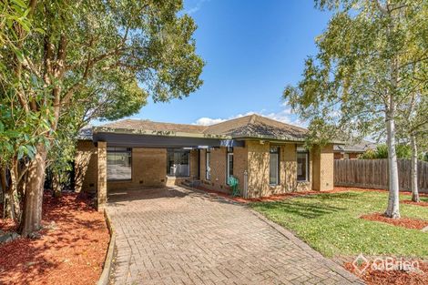 Property photo of 8 Minchinbury Drive Vermont South VIC 3133