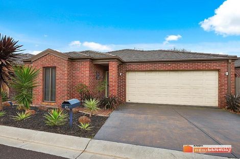 34 Treerise Bvd, Ferntree Gully, VIC 3156