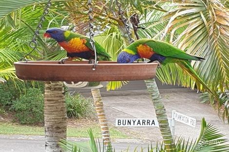 Property photo of 7 Bunyarra Court Buderim QLD 4556