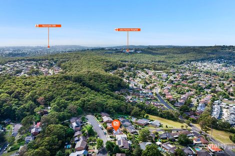 Property photo of 137 Elermore Parade Wallsend NSW 2287