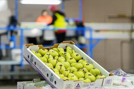 595 Channel Rd, Shepparton East, VIC 3631