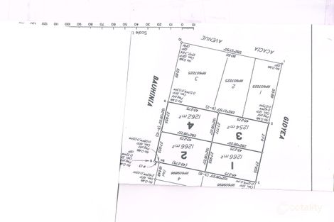 Property photo of 11 Gidyea Street Blackall QLD 4472